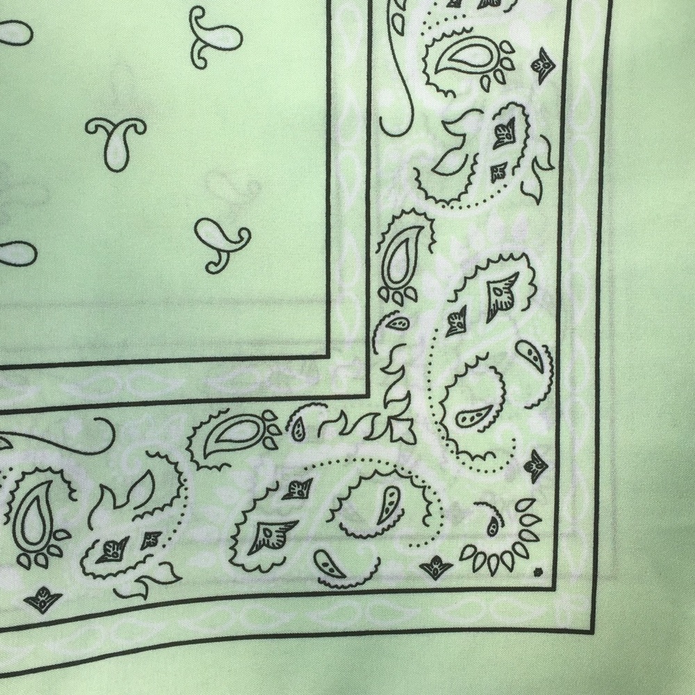 Mint Green / Seafoam Paisley Bandana - Brand New!